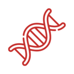 adn