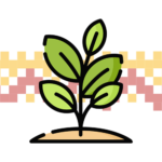 plantas2